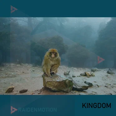 KINGDOM