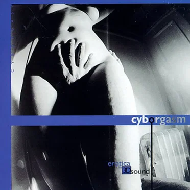 Cyborgasm: XXX Erotica in 3-D Sound by Algorithm - album cover
