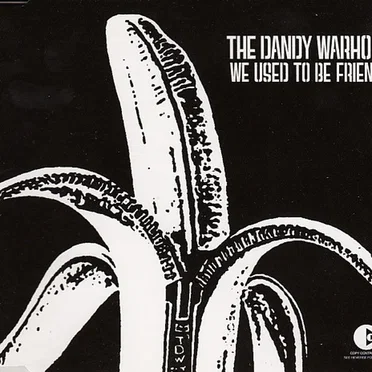 We Used to Be Friends