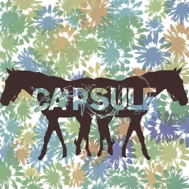 Capsule