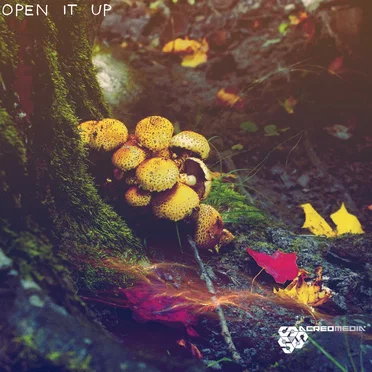 Open It Up by Various Artists - album cover