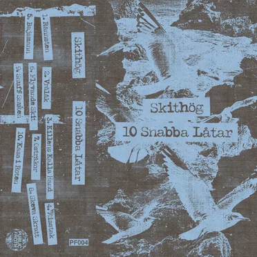10 Snabba Låtar by Skithög - album cover