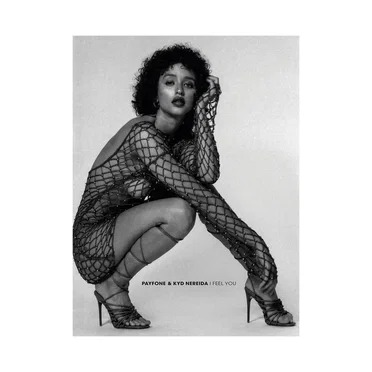 I Feel You (incl. Mudd Remixes)