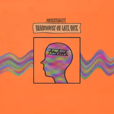 Brainwaves on Late Days by Priesemut - album cover