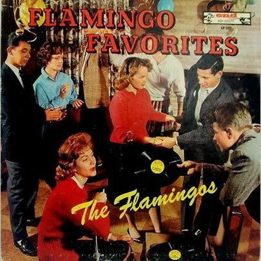 Flamingo Favorites