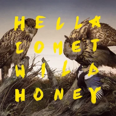 Wild Honey by Hella Comet - album cover