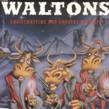 Christmastime and Country Wildlife