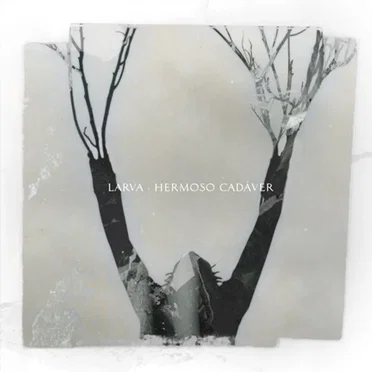 Hermoso cadáver