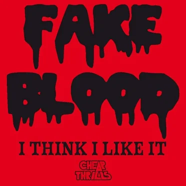 I Think I Like It by Fake Blood - album cover