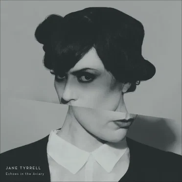Echoes in the Aviary by Jane Tyrrell - album cover