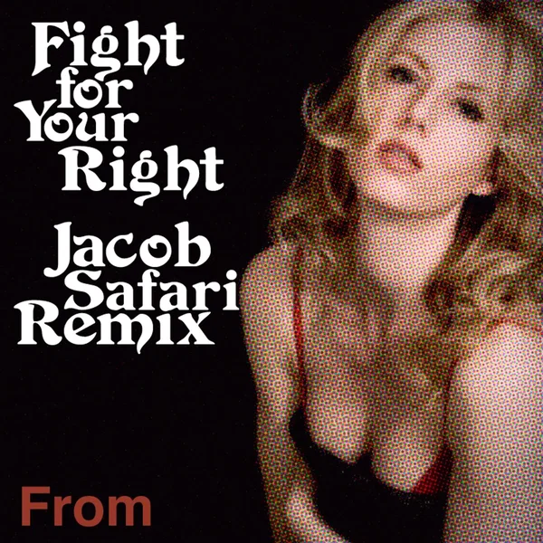 Fight for Your Right (Jacob Safari remix)