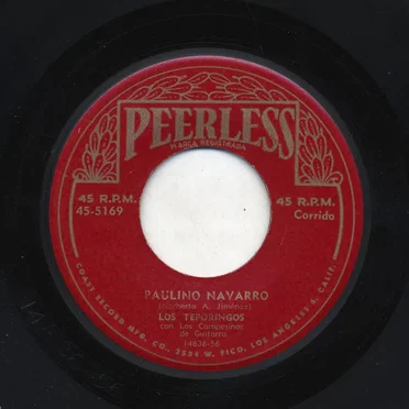Paulino Navarro / Por una tal María Elena