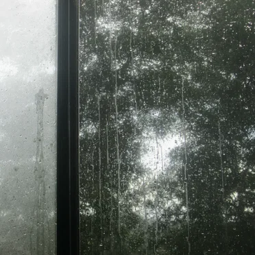 Rain and Electronic Buzzing (Recorded From Inside)
