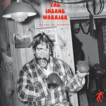 We Are the Doorways by The Insane Warrior - album cover