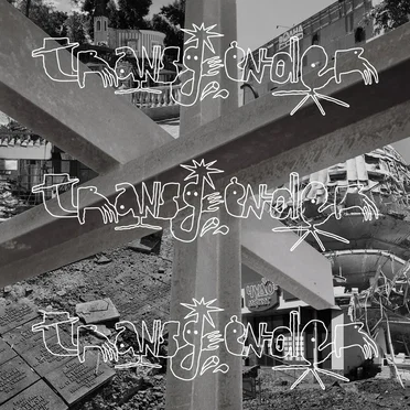 Радісно й класно by Transgender - album cover