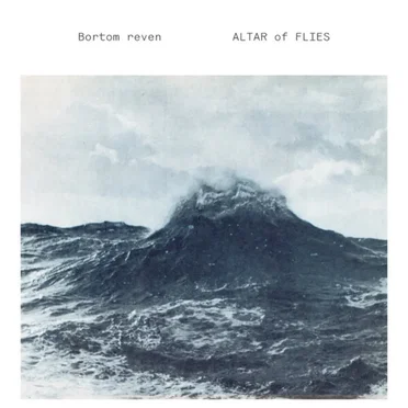 Bortom Reven by Altar Of Flies - album cover
