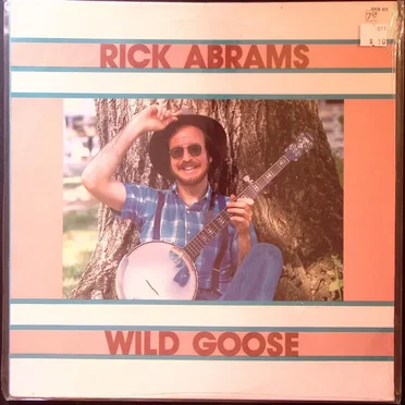 Wild Goose by Rick Abrams - album cover