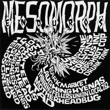 Mesomorph Enduros by Various Artists - album cover