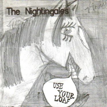 Use Your Loaf by The Nightingales - album cover