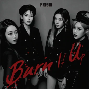 Burn it up by PRISM - album cover