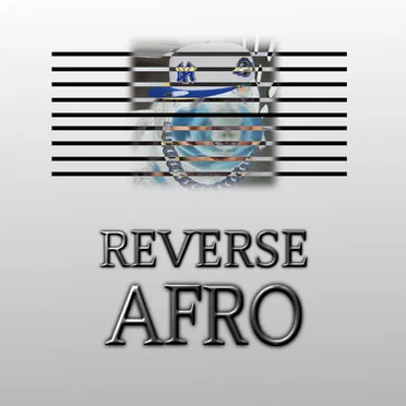 REVERSE AFRO
