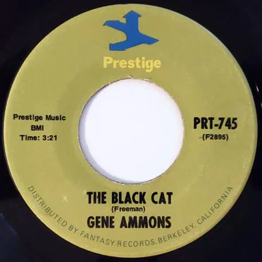 The Black Cat / Something