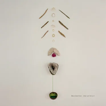 Pas un bruit by Bacchantes - album cover