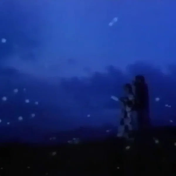二二二八