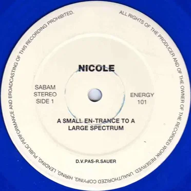 A Small En-Trance to a Large Spectrum by Nicole - album cover