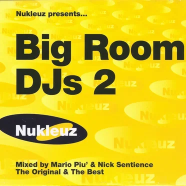 Big Room DJs 2
