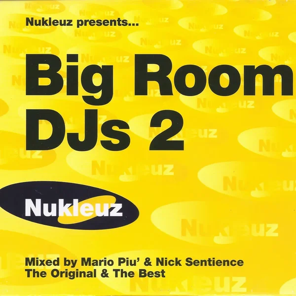 Big Room DJs 2