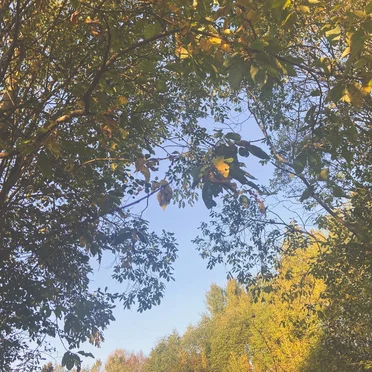 to be alive
