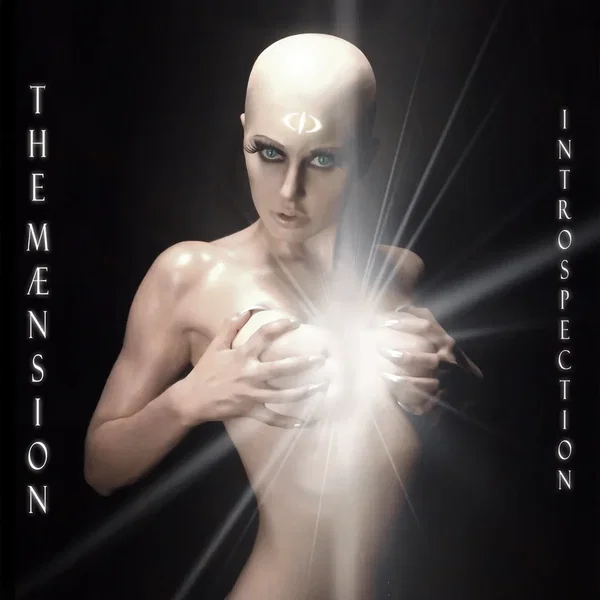 Introspection