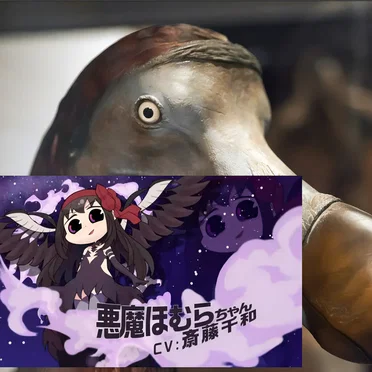 11 Tracks, 36:16, Homuravsdodobird