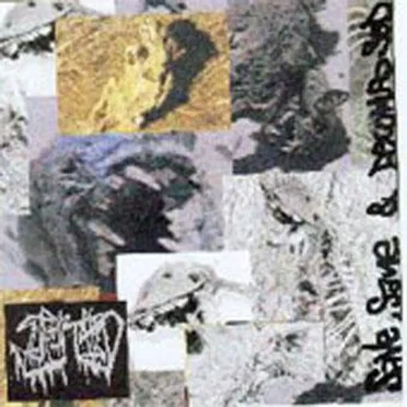 Save, Sane & Decomposed by Suppurated - album cover
