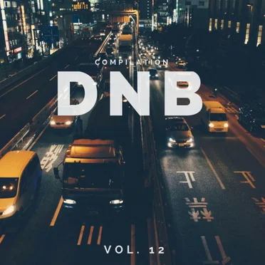 DnB Music Compilation, Vol. 12 by Various Artists - album cover