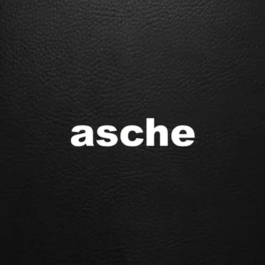 Distorted Disco by Asche - album cover