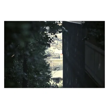 そこない