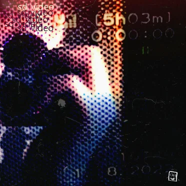 sd_video