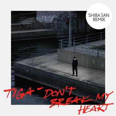 Don’t Break My Heart (Shiba San remix)