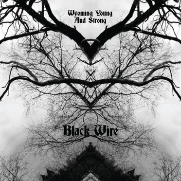 Black Wire by Wyoming Young and Strong - album cover