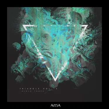 Triangle, Vol. 5 by Various Artists - album cover