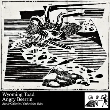 Beetle Galleries / Ordovician Echo