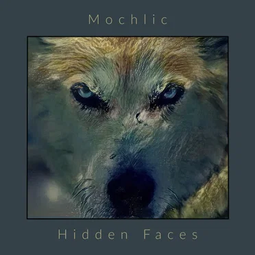 Hidden Faces