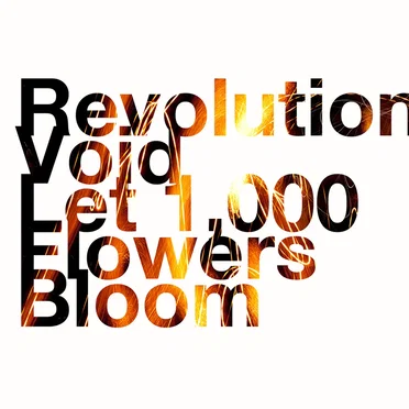 Revolution Void