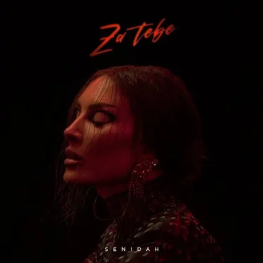 Za Tebe by Senidah - album cover