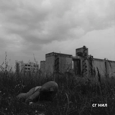 сг нил