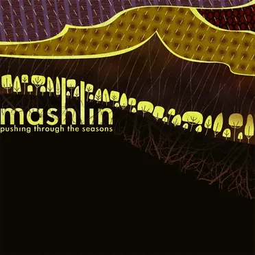 Pushing Through the Seasons by Mashlin - album cover