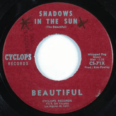 Shadows in the Sun by Beautiful - album cover