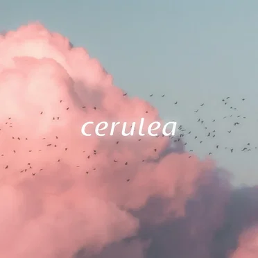 A New Land